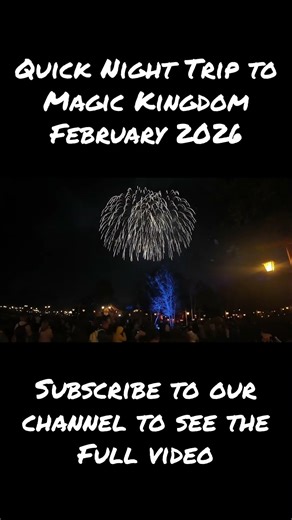 Quick 2.5 Hour Night Trip to Magic Kingdom | Feb. 2026