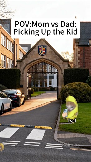 CAT MEMES🐱Mom vs Dad:Picking Up the Kid#catmemes #memes #funnymemes #funny #foryou #relationship