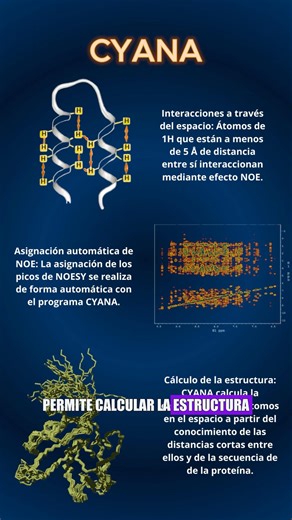 RMN de proteínas: De meses a HORAS con ARTINA 🤖💻