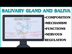 Saliva and Salivary Glands ll Gastrointestinal Physiology ll Composition ll Secretion ll Mechanism