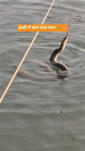 The snake got stuck in the flute.,🐛🪱#snake #shorts