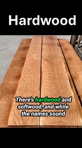 Hardwood and Softwood - What's the Difference? #woodworking #lumber #woodworker | DIY with Dave