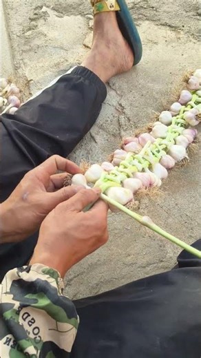 Using the traditional method of bundling the ingredients will make it easier to dry.
