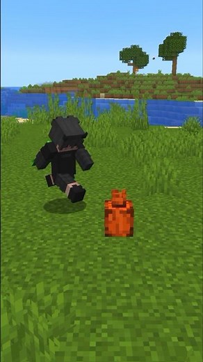 A POCKET DIMENSION IN Minecraft