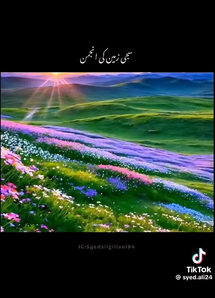 churail (@churail96325445)’s videos with original sound - churail