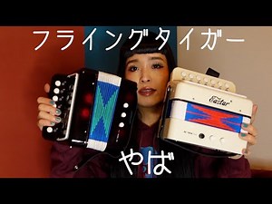 Professional Musician Played Flying Tiger's Accordion