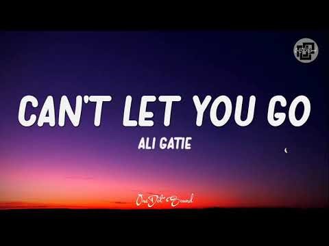 Ali Gatie - Can't Let You Go (Lyrics) 🎵