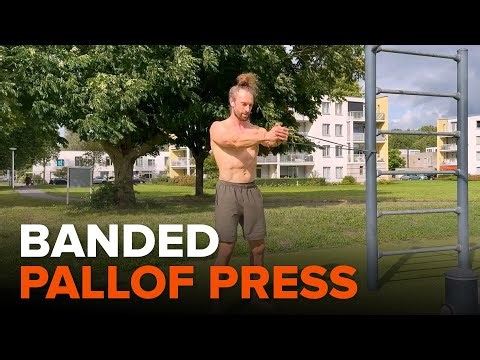 Banded Pallof Press | Proper Form Tutorial for Core Stability