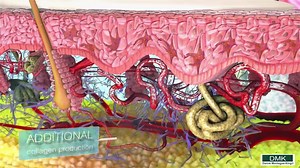 2.3K views · 33 reactions | Danné Montague-King explains the DMK Concept of REMOVE - REBUILD - PROTECT - MAINTAIN | DMK UK | Facebook