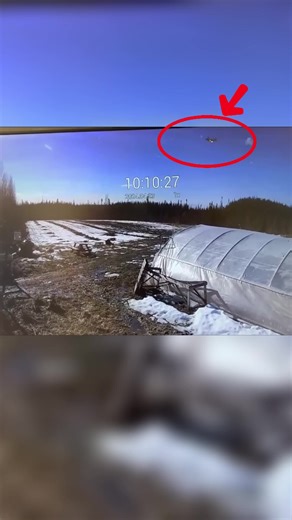 C-54D Crash Investigation: Maintenance Failures Revealed