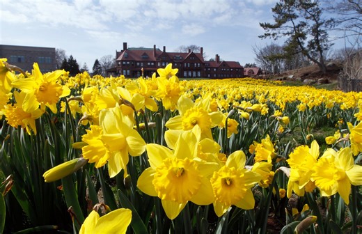 What makes spring in RI great? Let us know.
