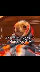 🥱🥱🥱 | Doctor Jo