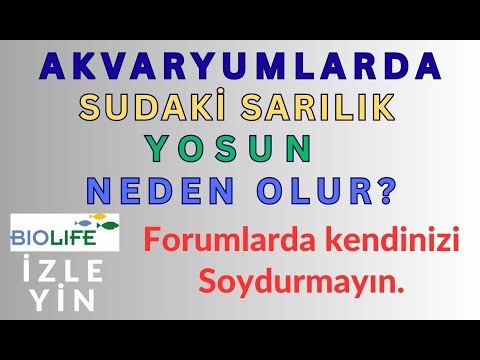 AKVARYUMLARDA SUDA SARILIK, YOSUN NEDEN OLUR? SU NASIL DİNLENDİRİLMELİ? BIOLIFE DAN ÖNEMLİ BİLGİLER.