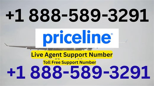Complete™ {List} of Delta Airlines ® Customer Service} Numbers in the U-S-A : A Step By Step Guide