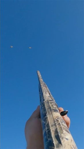 We got both but the camera was on this one ! #goosehunting #hunting #geese @bossshotshells