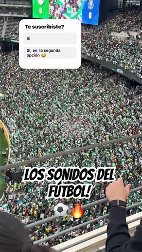 #torcida #palmeiras #metlifestadium #fifaclubworldcup #porto #futbol #futebol #parati #foryou