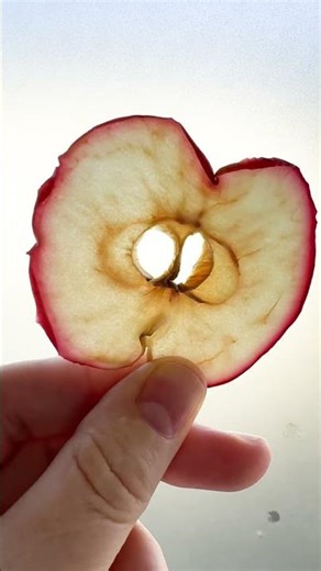 How to make dried apple flowers #apples #recipe