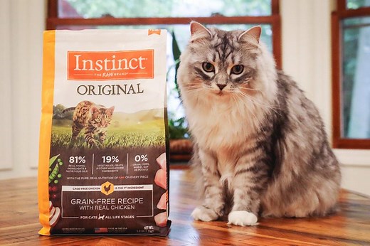 Unbiased Instinct Raw Pet Food Cat Food Review - Cats.com