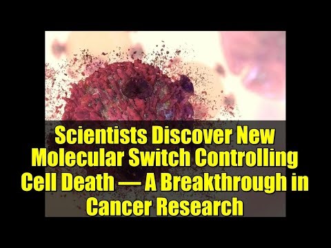 Scientists Discover New Molecular Switch Controlling Cell Death – A Breakthrough in Cancer Research