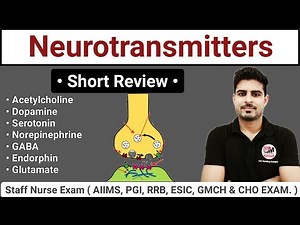 Neurotransmitters || Types and Function Short Review