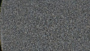 Television static noise clearing the screen to reveal a green screen for a retro transition effect.