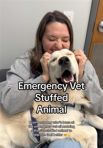 Buying Stuffed Animal for Dog's Recovery at Walmart