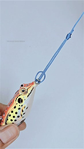 🎣HOW TO TIE SURGEONS LOOP KNOT FOR FISHING #fishing #shorts #fish #carpfishing #trending