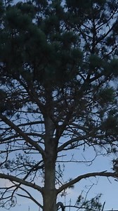 New visuals for Noma yini bhoza yam from my new album Uhambo the journey please stream the album | Mlindo The Vocalist