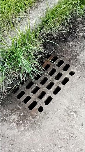 DIY Storm Drain Clean-Out: From Clogged to Clear!