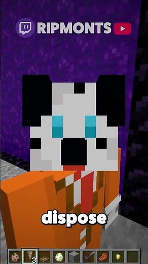 How to make a mob proof portal