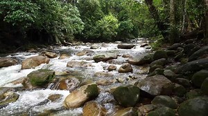 Fast moving water flow in river.