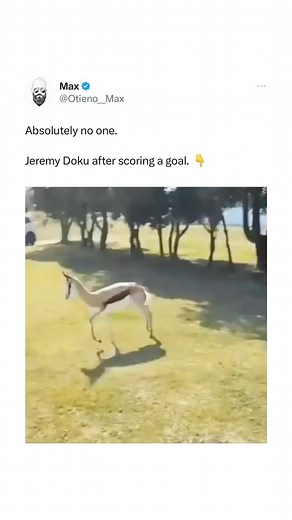 The 12th Man on Instagram: "Accuracy = 💯."