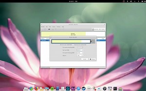 Installing elementary OS 5.0 JUNO BETA on my machine