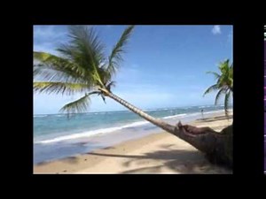 LAUTOKA TEACHERS COLLEGE PERFORMANCE CLUB ISA LEI KABANI