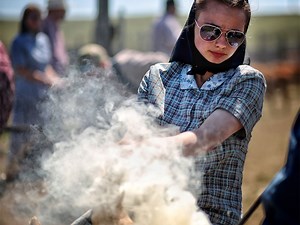 Prairie ritual: Spring branding on the Pincher Creek Hutterite Colony