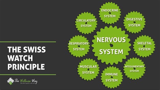 Approach to Inflammation