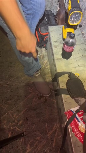 Frog Gigging Adventures in Florida