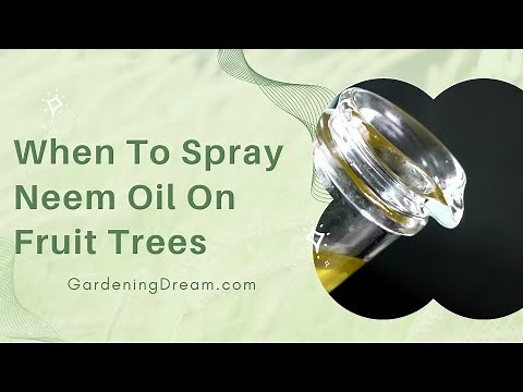 Info Article When To Spray Neem Oil On Fruit Trees