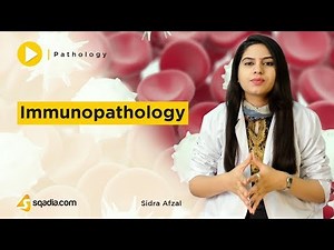 Immunopathology | Hypersensitivity | T-cell-mediated Cytotoxicity | Introduction