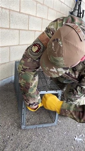 POV: You're an Airman in Pest Management