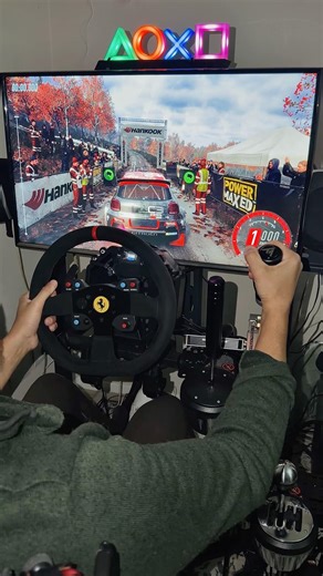 Rally from the car view 🚗💥 Can you keep it on the road? #dirtrally2 #simracing #ps5 #thrustmaster