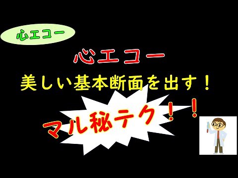 【心エコー】基本断面描出のコツとポイント！
