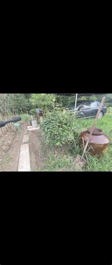日出耕耘，日暮收菜，农民最简单的追求，便是三餐天然健康。#这就是农村的生活 #一般人不知道是什么
