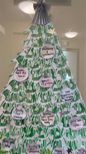 The Christmas season has begun at the Central Otago REAP Office, and we’d like to take a moment to thank our amazing community and learners for their support throughout the year 🎄 Every hand on this tree is a hand in our community and every bauble is a student story 🎁 | Central Otago REAP