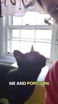 First Adderall Dose! #adhd #adderall