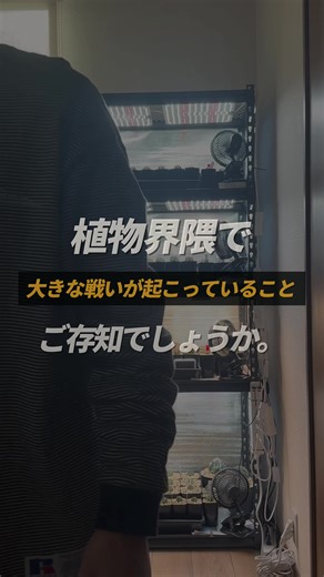 電気代計算と植物育成管理法