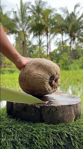 The Highest Level of Knife Sharpness