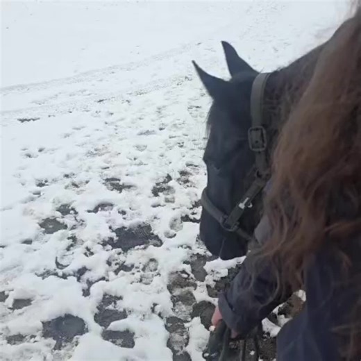 tante_nine (@tante_nine)’s videos with Love Without a Reason - Yunika Queen