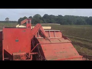 Combining Red Clover with Allis Chalmers 72..."when things go right"