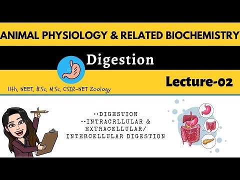 L-2 Digestion - Intracellular & Extracellular/Intercellular Digestion|Animal physiology| M.Sc B.Sc